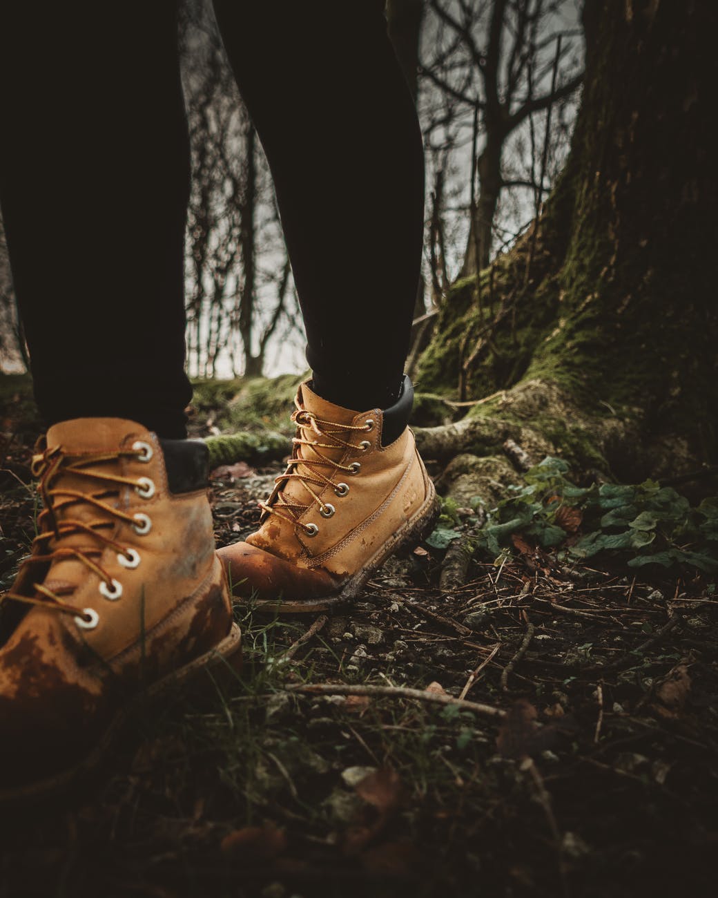 person wearing brown leather hiking boots standing on brown dried leaves